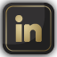 Icono LinkedIn